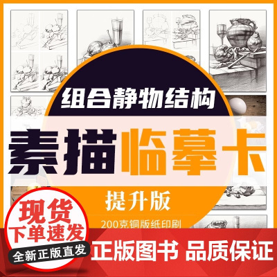 素描组合静物结构临摹卡提升版临摹范本组合画册集美术基础单个罐子道具结构解析照片写生创意卡片校联考高考名师绘画示范正版图书