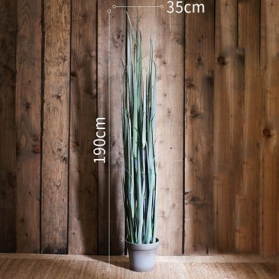 美帮汇洋葱盆景大型仿真植物绿植仿真树装饰摆件陈列布景道具 C竹节草灰盆大号