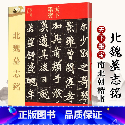 [正版]北魏墓志铭 天下墨宝 元桢墓志铭 元纂元显俊元珽妻穆玉容司马昞 世宗嫔司马显姿 毛笔书法字帖原碑帖吉林文史