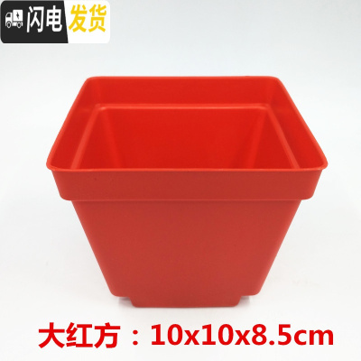 三维工匠掌柜推荐桌面简约多肉植物花盆小黑方扦插育苗塑料方盆价优 黑色7x7x6.8cm100个加底座 中小花盆容器