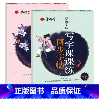 写字课课练同步字帖 2年级上下册 [正版]罗扬字帖课堂笔记天天练练字帖人教版同步字帖一课一练硬笔钢笔临摹一二三四五六七八