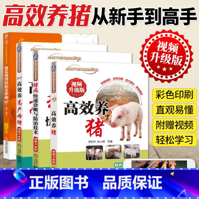 高效养猪+高产母猪+猪病快速诊断与防治技术+猪实用饲料配方手册 [正版]四册 高效养猪+高产母猪+猪病快速诊断与防治技术