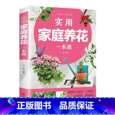 实用家庭养花+家庭养花与阳台种菜 [正版]实用家庭养花阳台种菜一本通 彩图详解 花卉养护知识 养花教程花卉知识介绍种植栽
