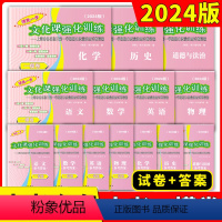 [全14册]一模 试卷+答案[语数英物化政史] 九年级/初中三年级 [正版]2024年上海中考一模卷英语初三数学物理化学