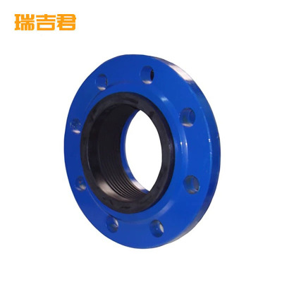 瑞吉君 单盘补偿器 DN50 个