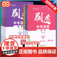 作业帮刷透中考真题初中语文英语物理化学数学压轴题基础题初三专题训练练习历年真题必刷题全刷九年级一二轮总复习资料