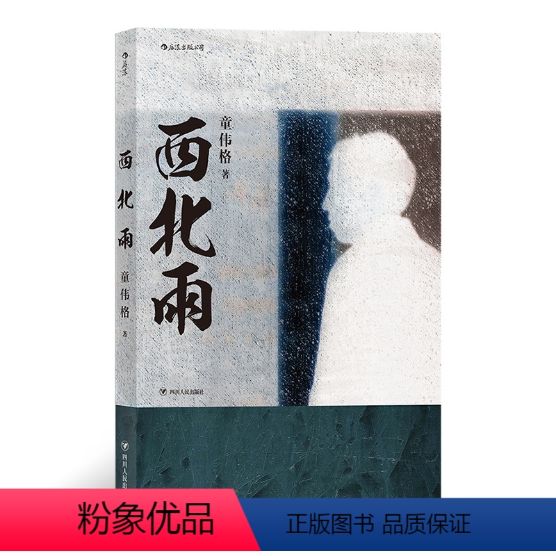 [正版] 西北雨 童伟格魔幻现实主义代表作品印刻文学港台当代长篇小说家族故事书籍