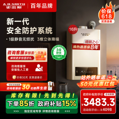 AO史密斯 16升燃气热水器 1级静音 不锈钢换热器包8年 恒温大水量 抗风防冻 JSQ31-TEW(天然气)