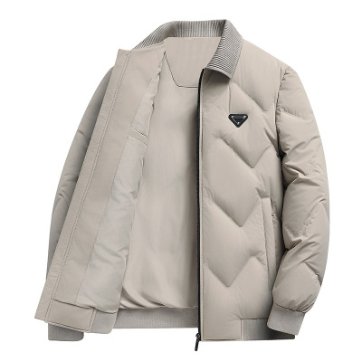 时尚保暖短款羽绒服男式秋冬新款新国标90羽绒服青年户外羽绒外套