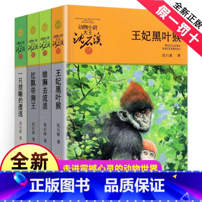 [正版]沈石溪动物小说全集作品全套共4册 王妃黑叶猴 红飘带狮王 雄狮去流浪一只猎雕的遭遇动物小说大王沈石溪品藏书系经