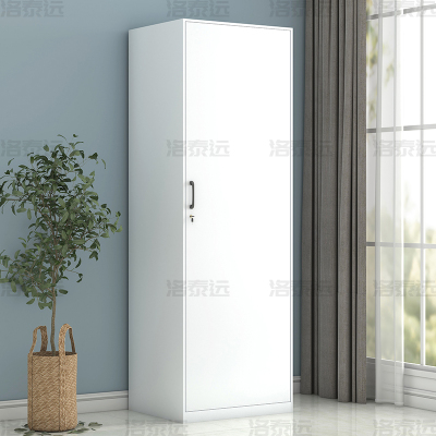 洛泰远 阳台柜单门衣柜钢制储物柜铁皮柜 白色单门衣柜600mm宽