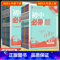 化学[人教版] 九年级上 [正版]自选24上/23版下初中九年级上册下册语文数学英语物理化学政治历史人教版北师外研初三9