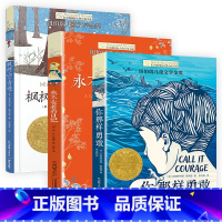 (3册)永不变老的日记+你那样勇敢+枫树山的奇迹 [正版]夏洛书屋经典版总有一天会长大二三四年级课外阅读 书小学生非注音