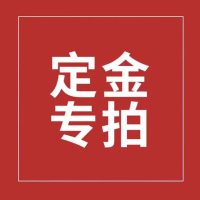 数码声学摄像机