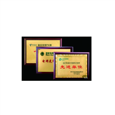 云腾领奖牌拉丝面 30厘米*40厘米 块