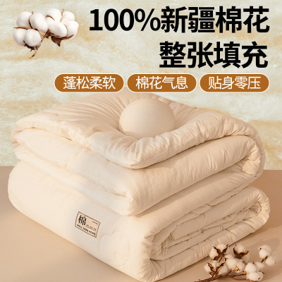 A类里外被子单双人棉花被芯纯棉100春秋被加厚保暖冬被棉絮冬