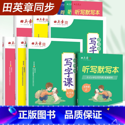 六本全套 小学通用 [正版]写字课课练小学生练字帖一二三四五六年级上册任选钢笔字帖人教版语文生字写字同步练习硬笔描红训练