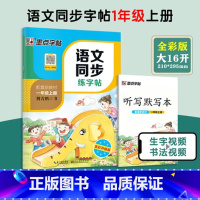 一年级上 小学通用 [正版]2024新版墨点字帖语文同步练字帖小学一二三四五六上册下册人教版练字贴小学生语文生字每日一练