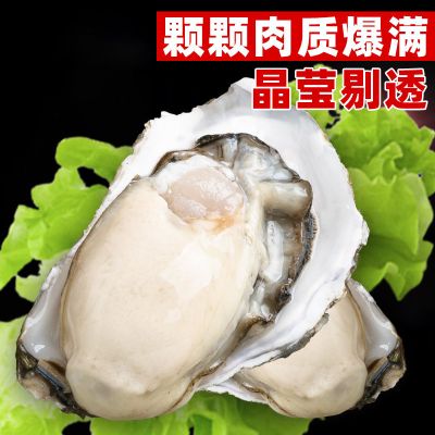牡蠣殻 100袋