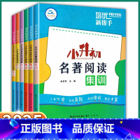 3本]小学语/数/英 总复习集训 小学升初中 [正版]2025新版培优新帮手小升初英语语法集训阅读理解语文阅读组合名著现