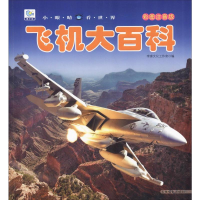 [M]飞机大百科 彩图注音版-9787549837977