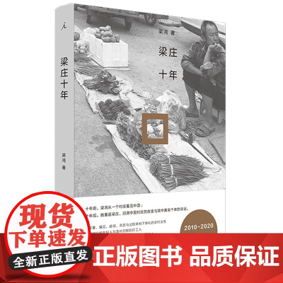 梁庄十年 梁鸿 理想国 上海三联书店 正版书籍