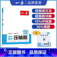 压轴题 七年级/初中一年级 [正版]七年级数学压轴题2024初中数学有理数方程初一数学必刷题上下册通用数学专题训练解题方