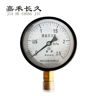 嘉禾长久+膜盒压力表检测定制型+YE100+块
