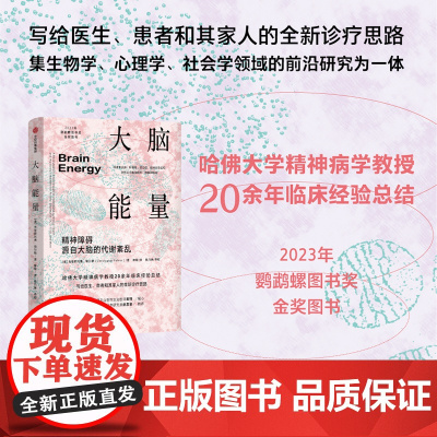 大脑能量 佛大学精神病学教授20余年临床经验 写给医生患者和其家人的全新诊疗思路 克里斯托弗帕尔默著 中信出版社图书 正