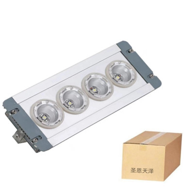 圣恩天泽 LED地沟灯TSYJ 12W 个