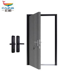 彩鲸(CAIJING)CJ-FDM8260防盗门安全门钢质家用门进户门大门别墅入户门 灰色