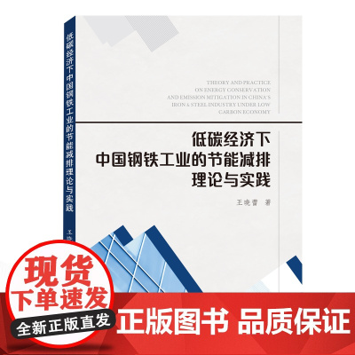 低碳经济下中国钢铁工业的节能减排理论与实践