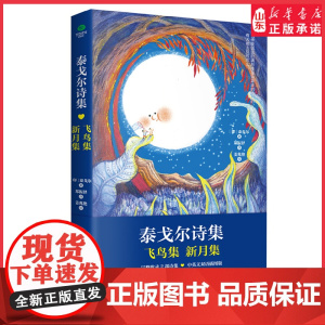 泰戈尔诗集飞鸟集新月集中英双语名家译本精美手绘版把自己活成一道光精神生活的灯塔之作 在诗歌里找回自己不内耗活出自在人生