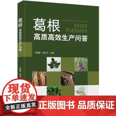科技-葛根高质高效生产问答王爱勤何龙飞葛根野葛葛根种植葛根生产葛生产栽培生产农业农业农艺农业技术农业生产作物栽培栽培