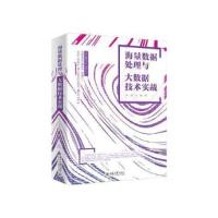 正版新书]海量数据处理与大数据技术实战 冰河 9787301313398 北