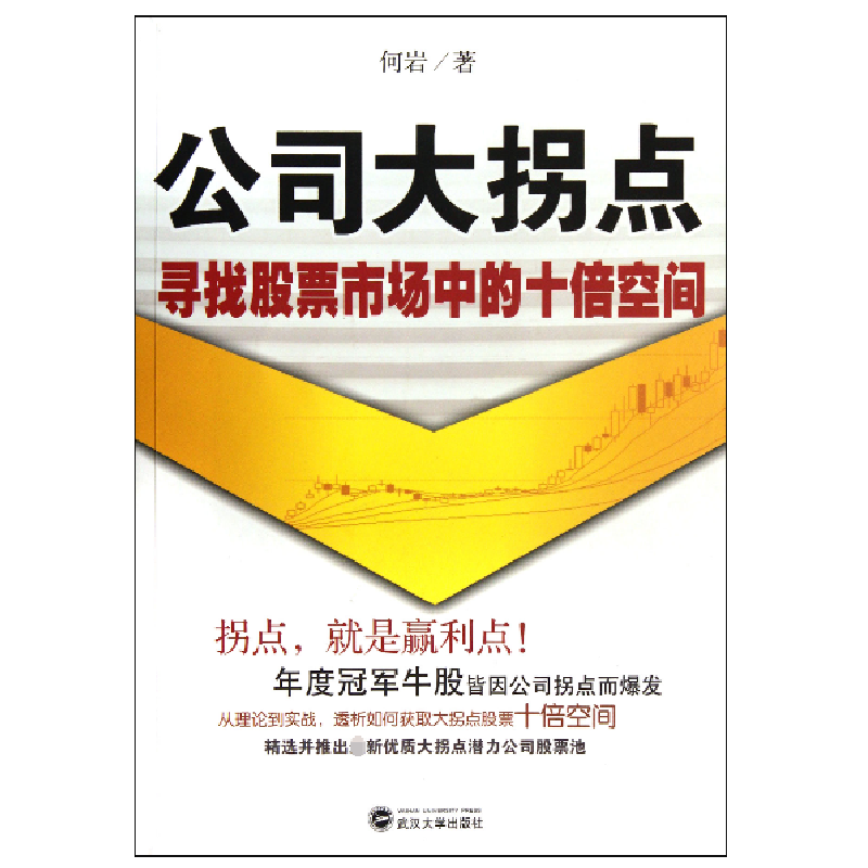 音像公司大拐点(寻找市场中的十倍空间)何岩