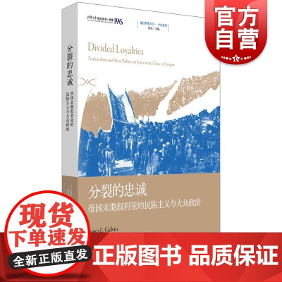 分裂的忠诚帝国末期叙利亚的民族主义与大众政治 地区研究丛书美詹姆斯L格尔文著上海人民出版社大众政治叙利亚史政治制度民族主