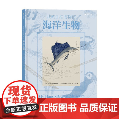 我的手绘博物馆 海洋生物 7-10岁 维尔吉妮·阿拉德基迪 著 童书科普