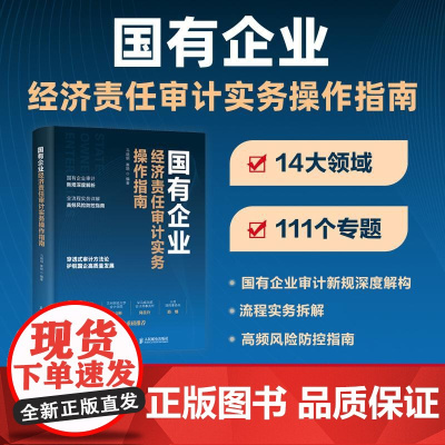国有企业经济责任审计实务操作指南 审计人员技巧案例实务拆解详解实操案头指南工具书籍