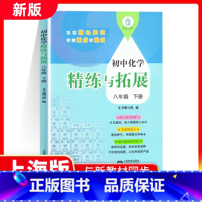 化学下册 [正版] 2025新版初中化学精练与拓展八年级上下册基础拓展提升能力测试评价初中化学8年级第一二学期上海教