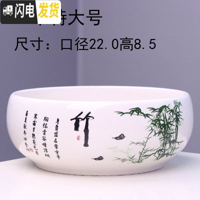 三维工匠大号铜钱水培花盆陶瓷金钱简约水养一叶莲碗莲水仙花 水培(绿竹)一个特大号 大花盆容器