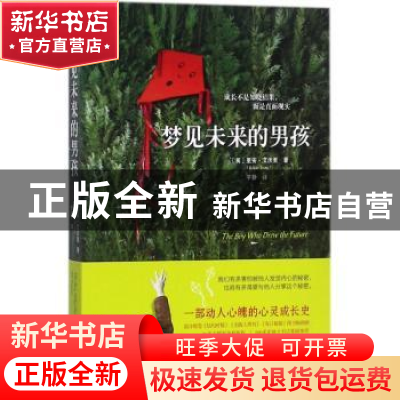正版 梦见未来的男孩 (英)里安·艾沃里(Rhian Lvory)著 北京联合