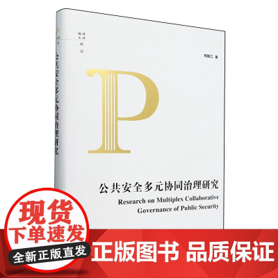 公共安全多元协同治理研究 9787511747914 中央编译出版社 邢振江 2025-01