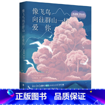 [正版] 像飞鸟向往群山一样爱你 文学读物 都市情感小说作者沈嘉柯和罗小葶联手书写23个普通人在追爱路上的故事北京时代