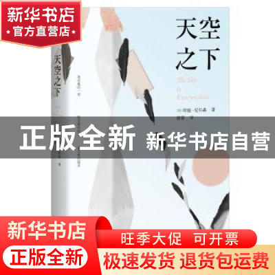 正版 天空之下 [美]珍迪·尼尔森 著,记忆坊出品,有容书邦 发行