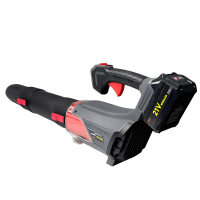 卫未来 大功率锂电吹风机 WG1-101 台