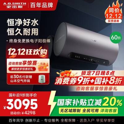 AO史密斯60升电热水器 国家补贴 金圭内胆 双棒分离速热 免换镁棒 免清洗 E60ED8