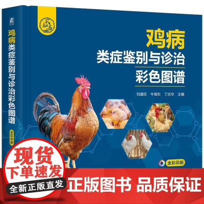 鸡病类症鉴别与诊治彩色图谱 刘建柱牛绪东 养鸡技术书土鸡蛋鸡养殖技术书籍鸡场畜牧兽医常看图识病类病鉴别综合防治用药诊断要