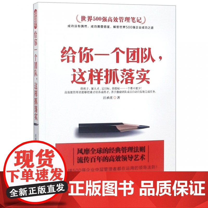 给你一个团队这样抓落实(世界500强高效管理笔记)