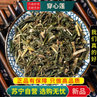 穿心莲100克干货正品春莲秋柳一见喜榄核莲苦胆草金香草金耳钩印度草
